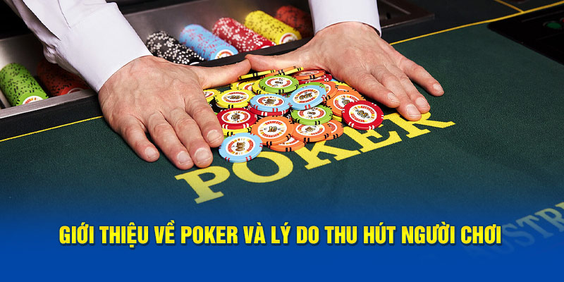 Giới thiệu về poker và lý do thu hút người chơi
